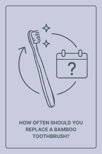 How Often Should You Replace a Bamboo Toothbrush?