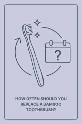 How Often Should You Replace a Bamboo Toothbrush?
