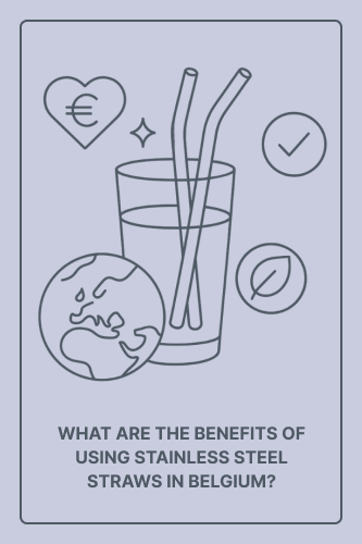 What Are the Benefits of Using Stainless Steel Straws in Belgium?