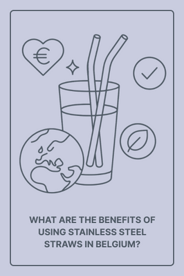 What Are the Benefits of Using Stainless Steel Straws in Belgium?